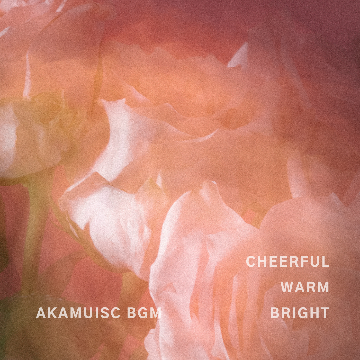 CHEERFUL WARM BRIGHT cover